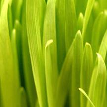 代理价格便宜的网站攻击器