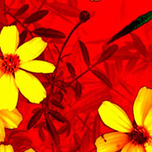 安全审计的网页DDOS攻击平台